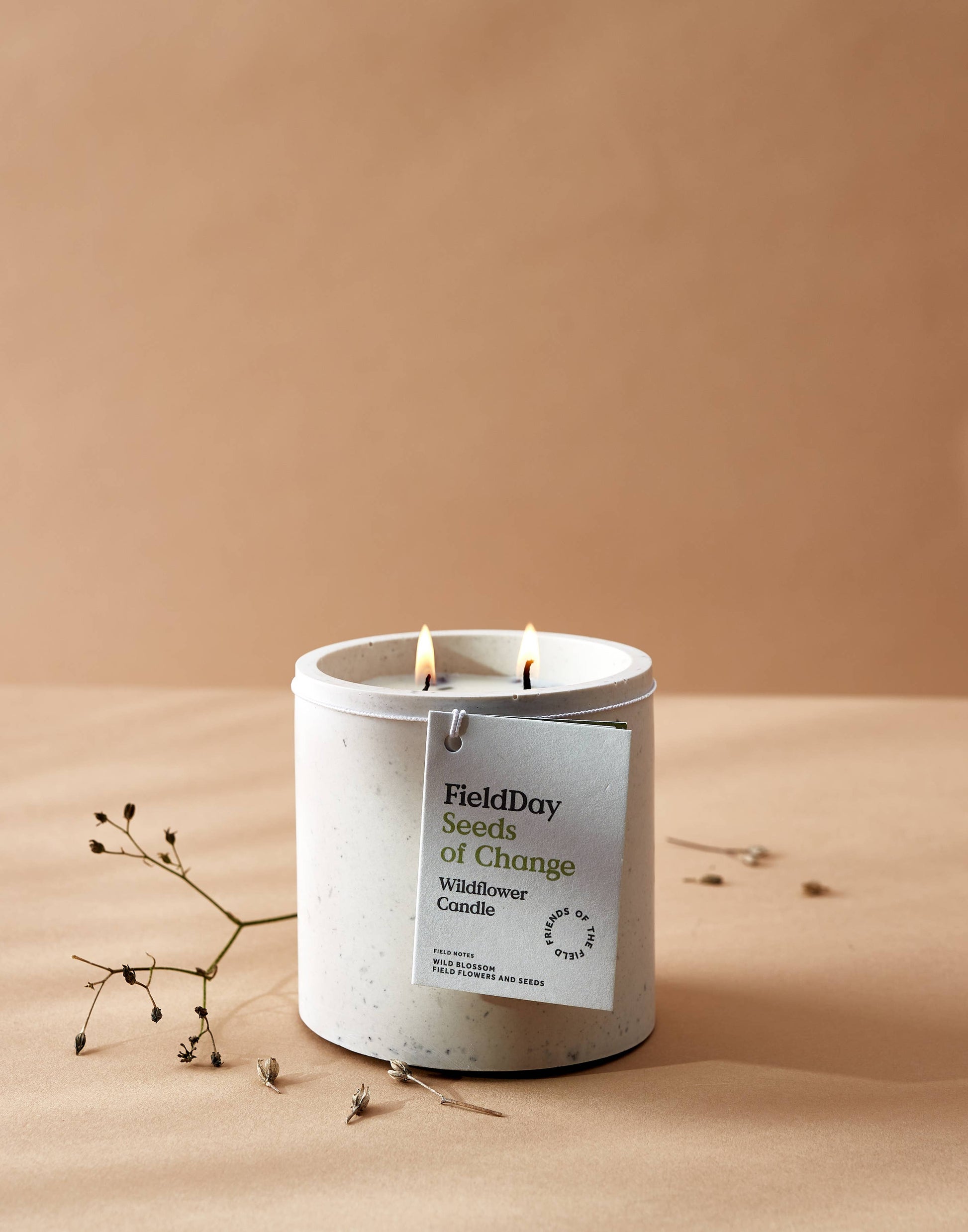 candle with wildflower seeds Wildflower Hand Poured Soy Wax Candle – Paper Daisy