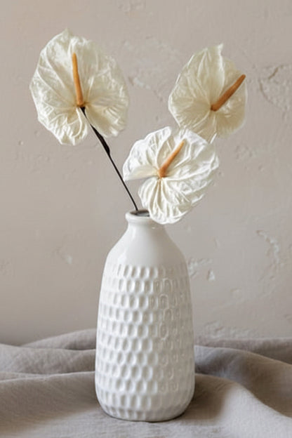 PRESERVED ANTHURIUM - White