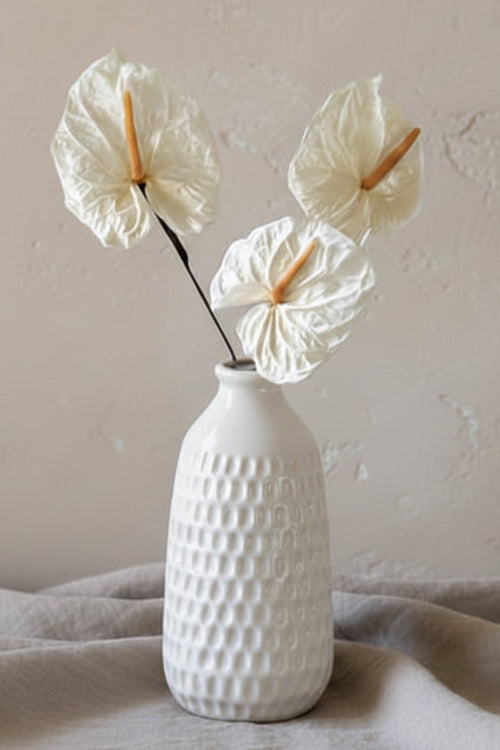 PRESERVED ANTHURIUM - White