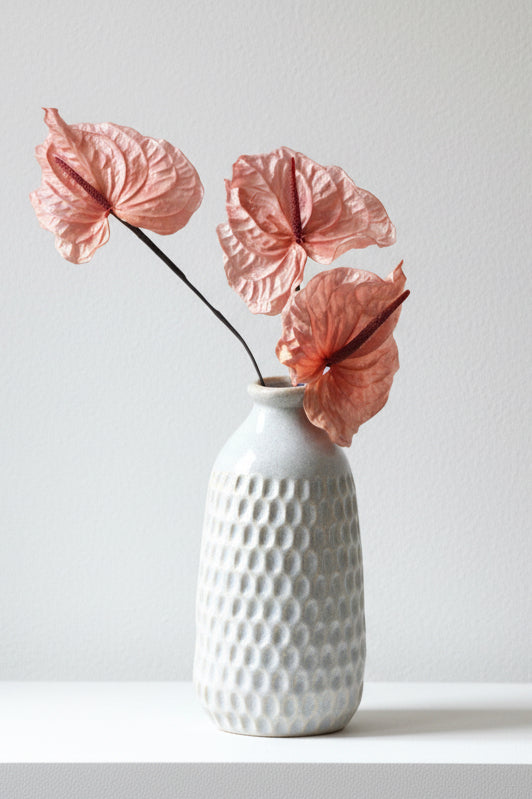 PRESERVED ANTHURIUM - Bon Bon Pink