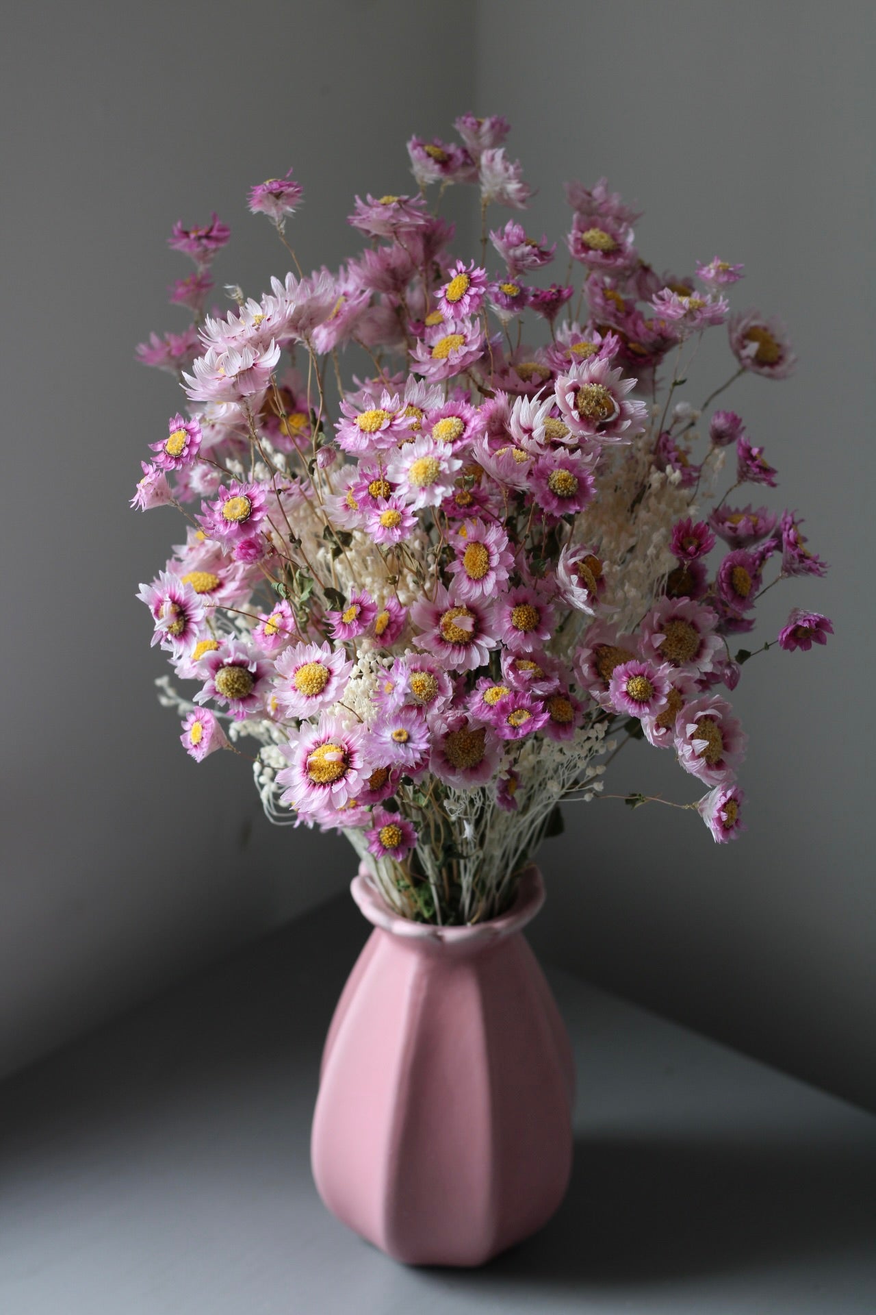 PAPER DAISIES