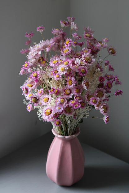 PAPER DAISIES
