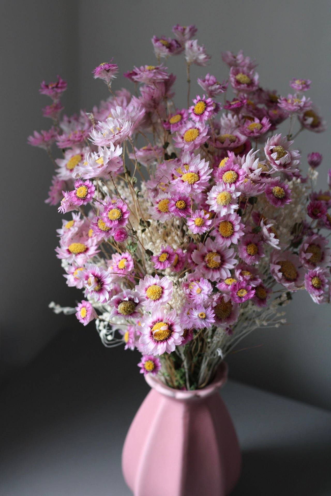 PAPER DAISIES