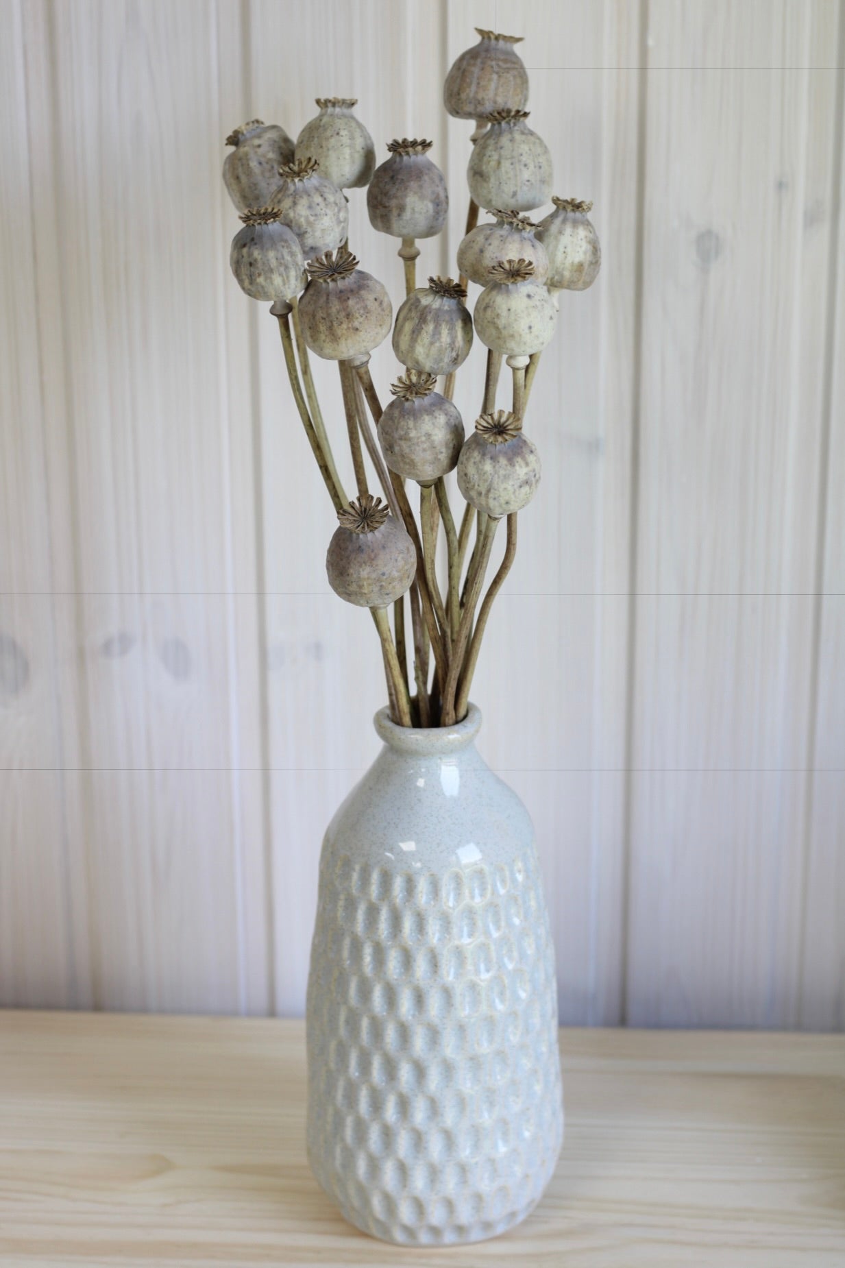 POPPY PODS BUNCH