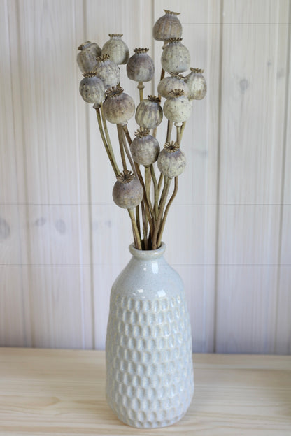 POPPY PODS BUNCH