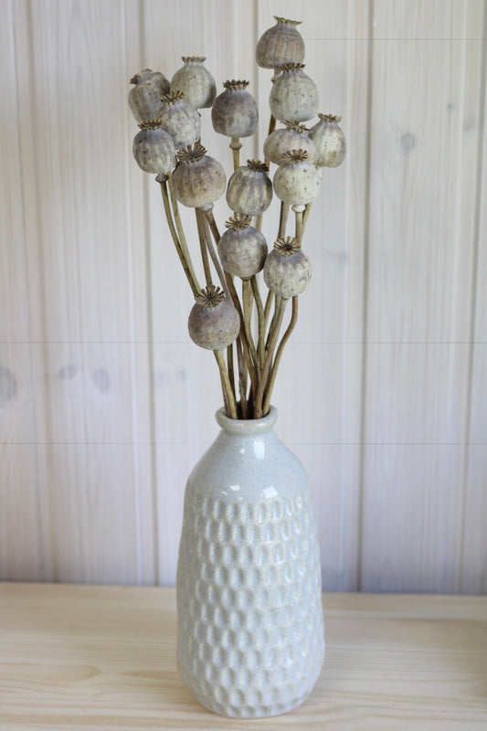 POPPY PODS BUNCH
