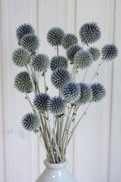GLOBE THISTLE BUNCH