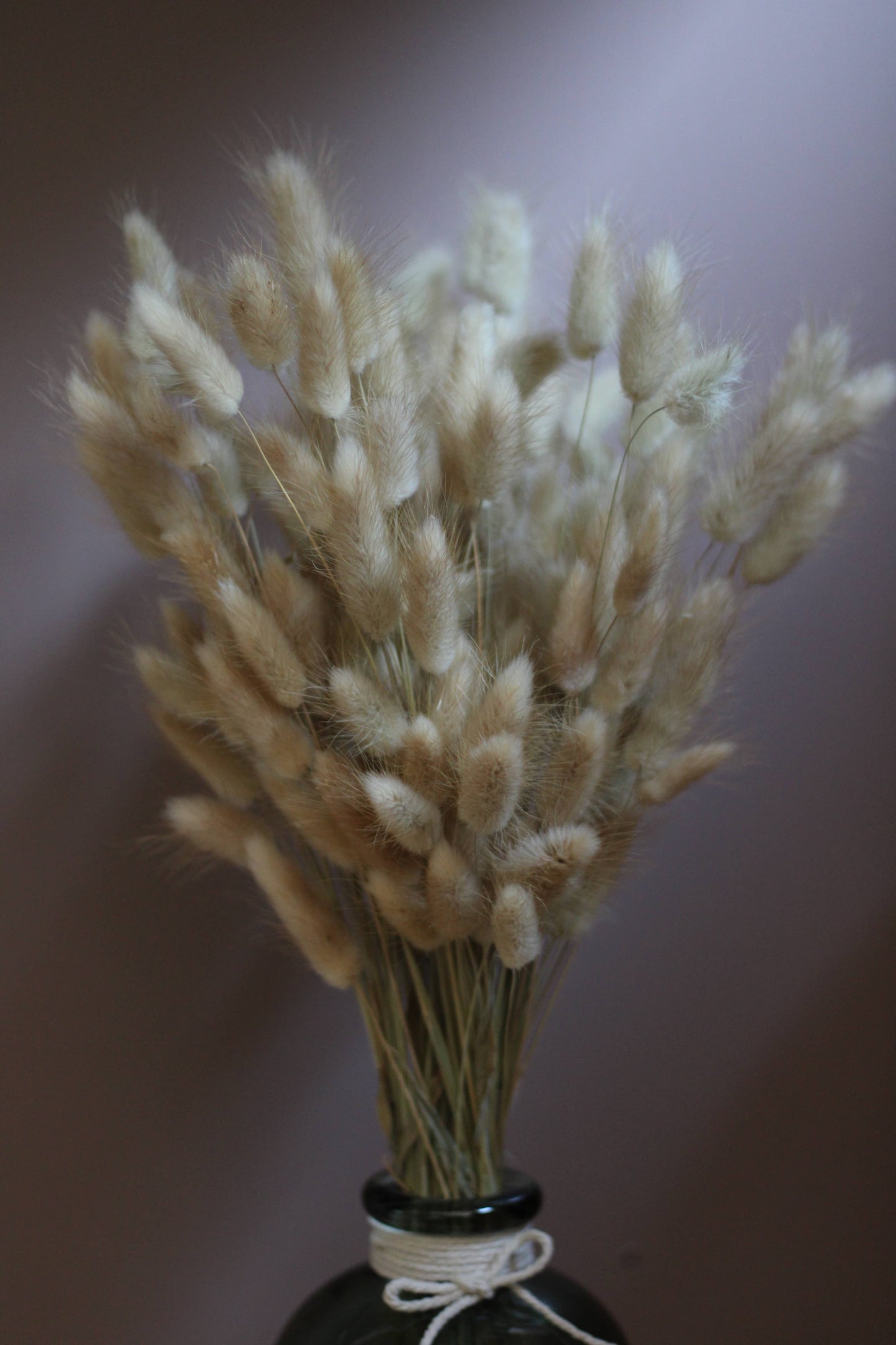 BUNNY TAILS BUNCH